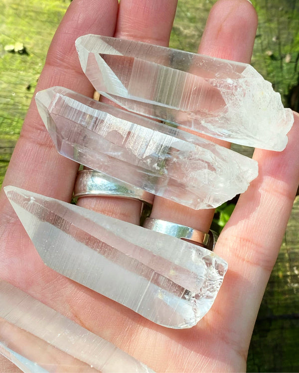 Lemurian