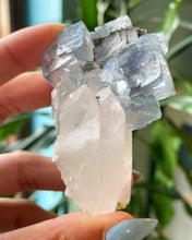Ladda upp bild till gallerivisning, Bergkristall med Fluorit, Rå - 7cm