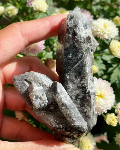 Svart/vit Lodolit, Rå Kristall - 9,7cm
