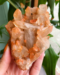 Bergkristall m. Järnoxid, Kluster - 11,2cm