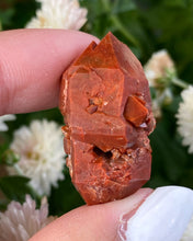 Ladda upp bild till gallerivisning, Röd Kvarts - &quot;Jacinto de Compostela&quot; - 3cm