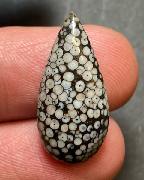 Snake skin cabochon