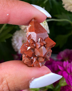 Röd Kvarts - "Jacinto de Compostela" - 2,5cm