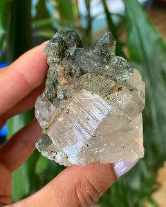 Himalaya Kvarts, Kluster - 5,9cm