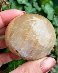 Persiko Månste, Handsten - 4,9cm